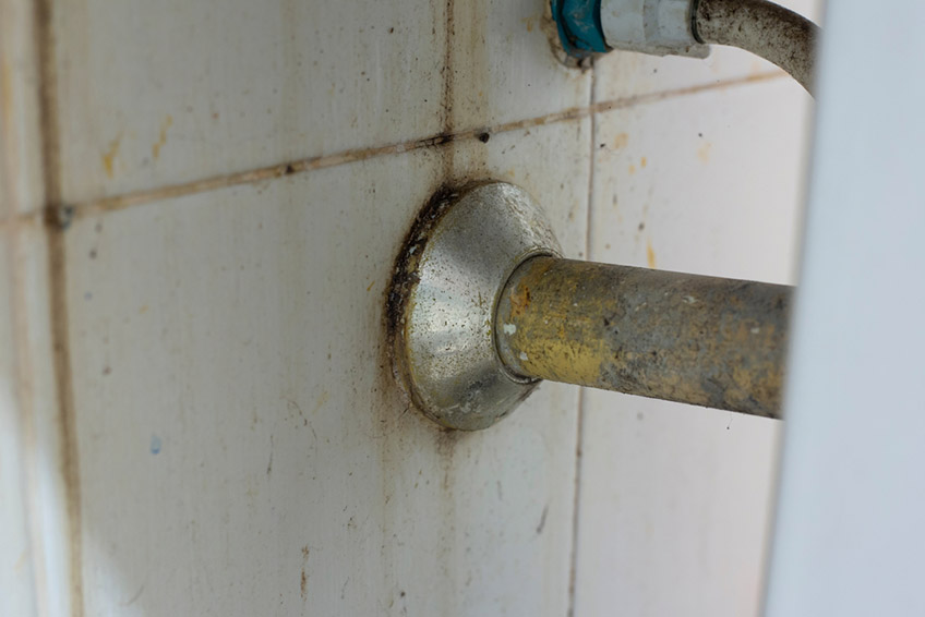 mold near pipes