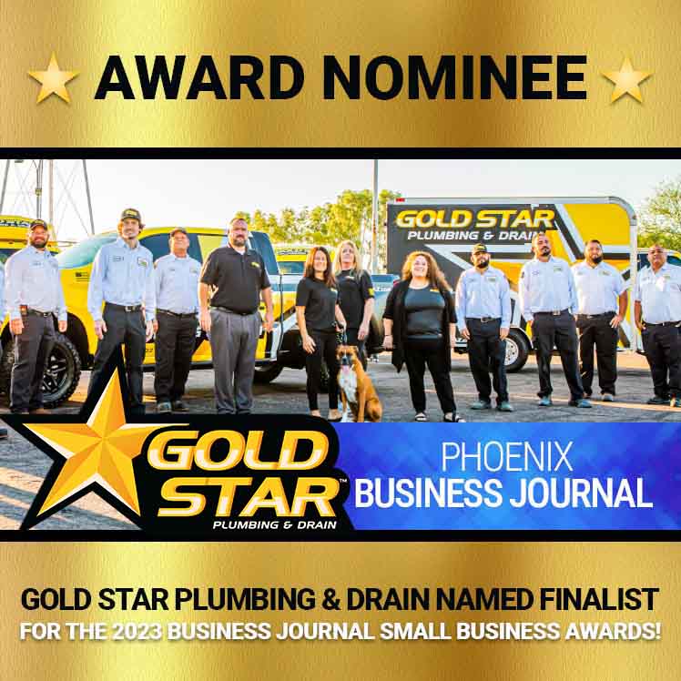 business-phoenix-journal-award-tm
