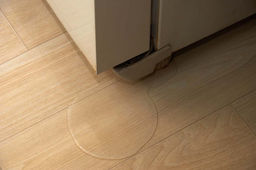 leaking fridge water line