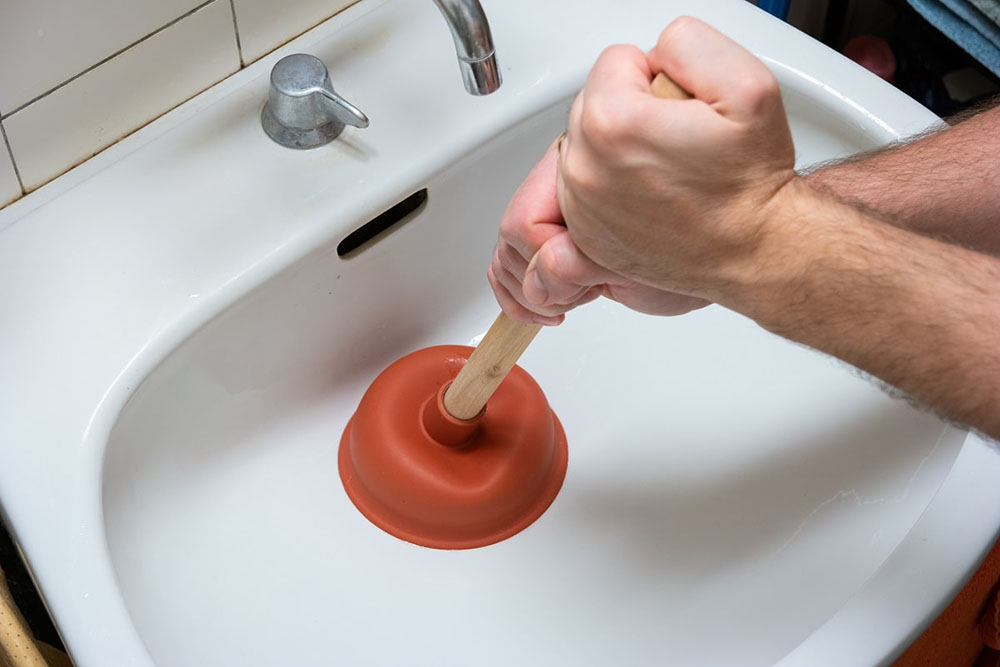 plunger