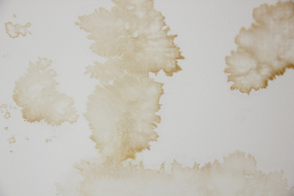 water stains water stains