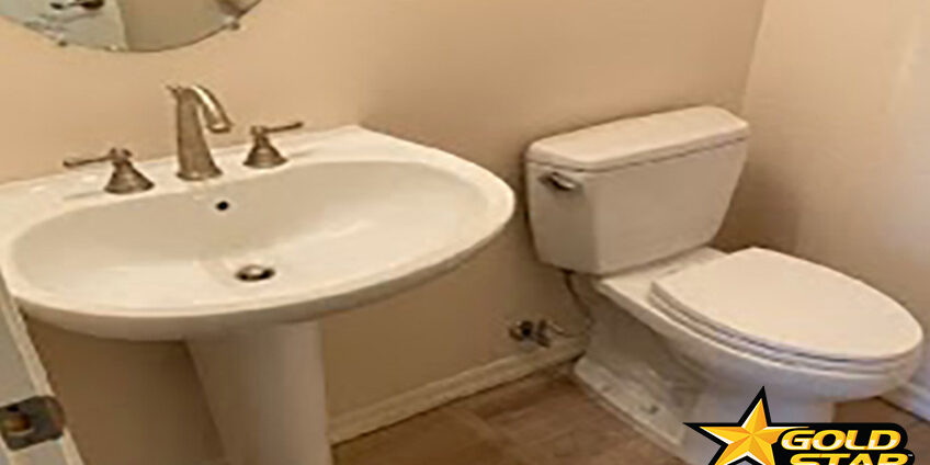 Bathroom sink and toilet repair