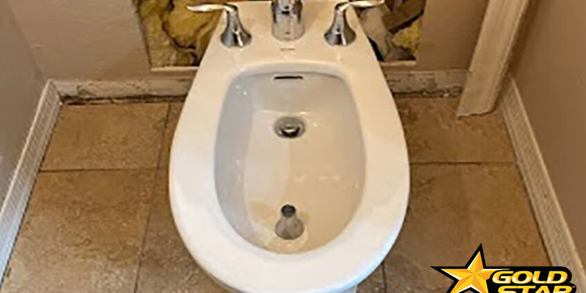 Toilet Bowl Repair in Gilbert, AZ Toilet Bowl Repair in Gilbert, AZ